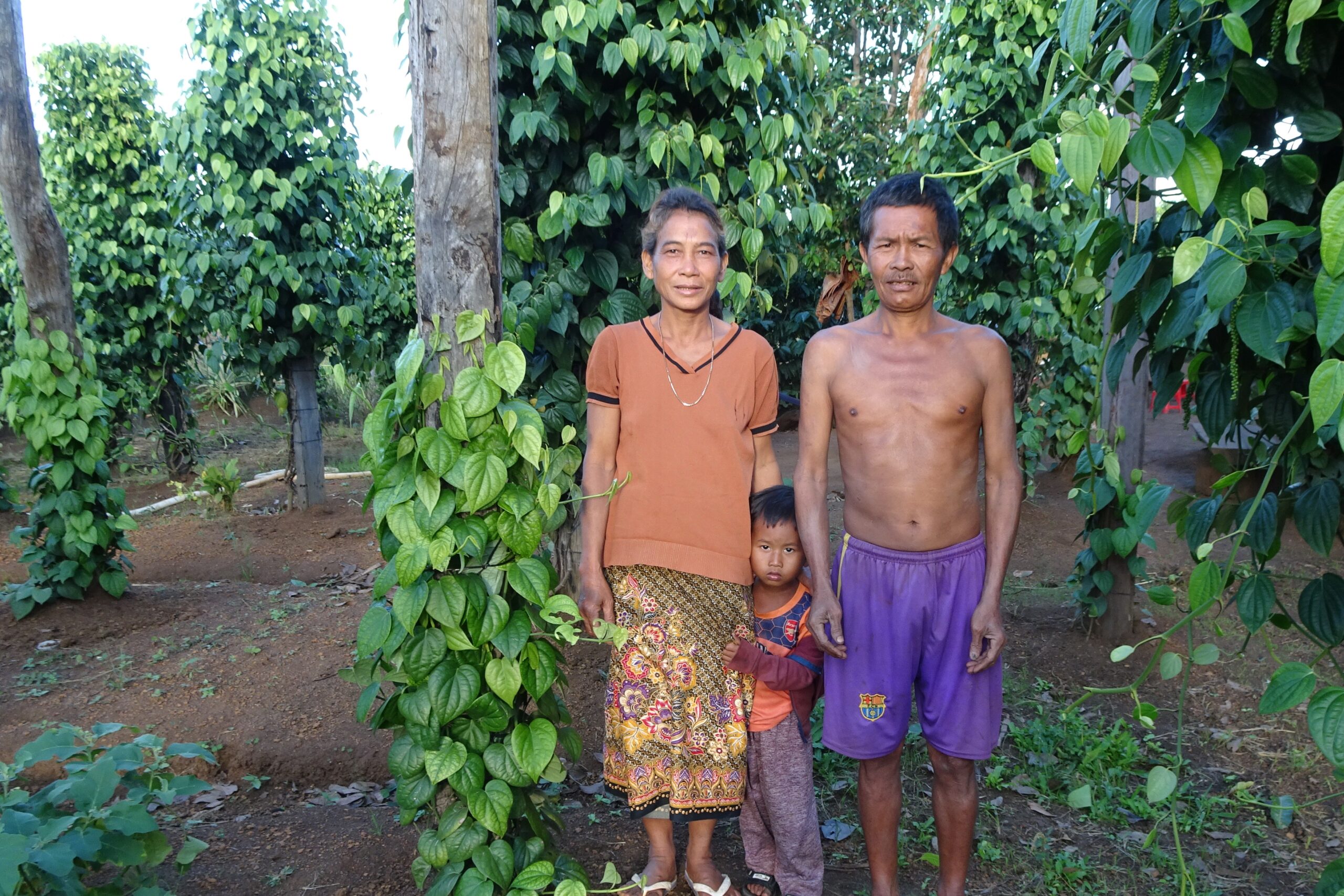 Bunong family in the pepper field